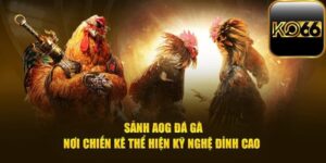 Đấu Trường AOG Đá Gà - Sảnh Cược Đẳng Cấp Nhất Hành Tinh