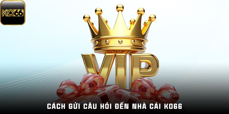 Các câu hỏi thường gặp Ko66 gửi qua đâu?