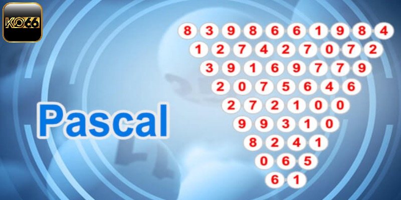 Tổng hợp bí kíp cầu Pascal cực hay từ cao thủ hàng đầu